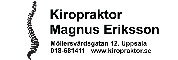 Kiropraktor Magnus Eriksson
